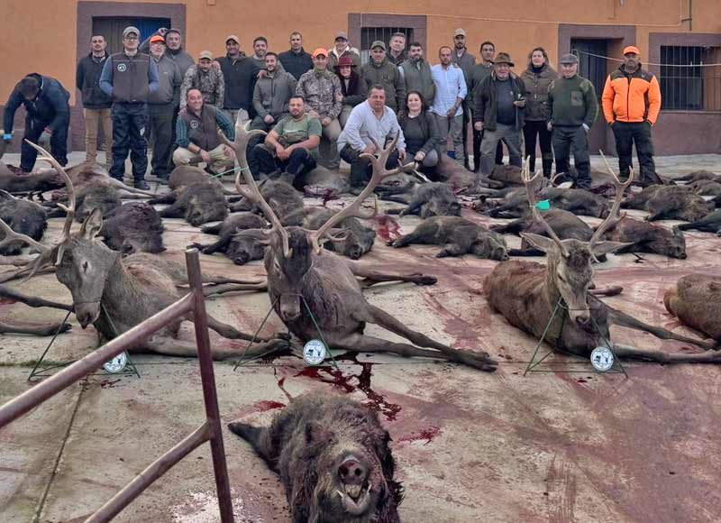 Monteria en Guadalupejo